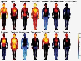 Мужские и женские архетипы и их связь с болезнями _0.jpg